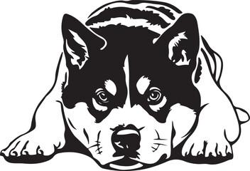 Akita Dog Lying Down Stylized Vector