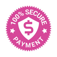 100% Secure Payment | icon | vector