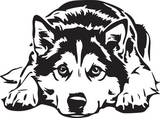 Alaskan Malamute Lying Down Stylized Vector