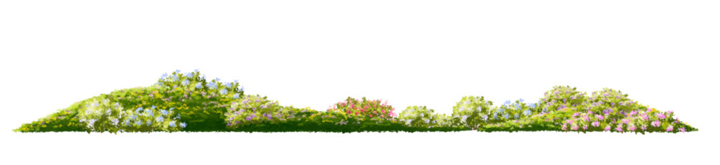 Vertor set of spring blossom tree,blooming plants side view for landscape elevation and section,eco environment concept design,watercolor illustration,colorful season