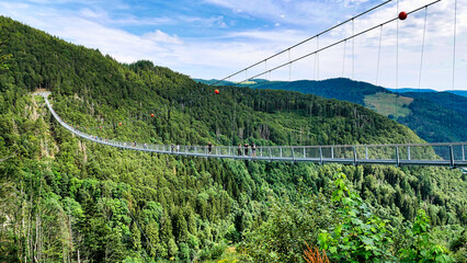 Blackforestline Hängebrücke in Todtnau, Schwarzwald