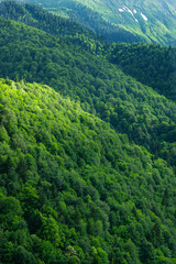 Fototapeta premium Georgia trekking routes. Magnificent Georgian mountains. Snowy and green mountains of Georgia. Svaneti mountains. Mountain landscapes in bloom in spring.