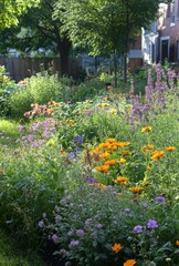 Obraz premium A lush backyard garden with various flowers, herbs, and vegetables thriving under the summer sun