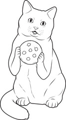 British Shorthair Cookie Animal Vector Graphic Art Illustration