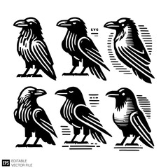 Naklejka premium set of raven Clip Art Black and White Illustrations Graphic Design Elements Vector Silhouette