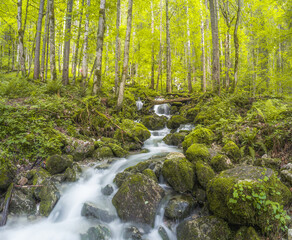 Rothbach Waterfall near Konigssee lake in Berchtesgaden National Park, Germany
