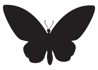 SVG Silhouette of butterfly with an overhead view