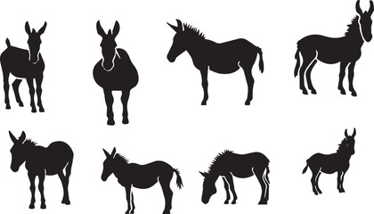 Donkey   Black and White vector Design