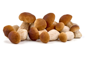Boletus mushroom, isolated on white background.