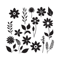 Flower silhouette with white background