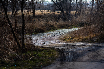 A muddy road leading into the distance