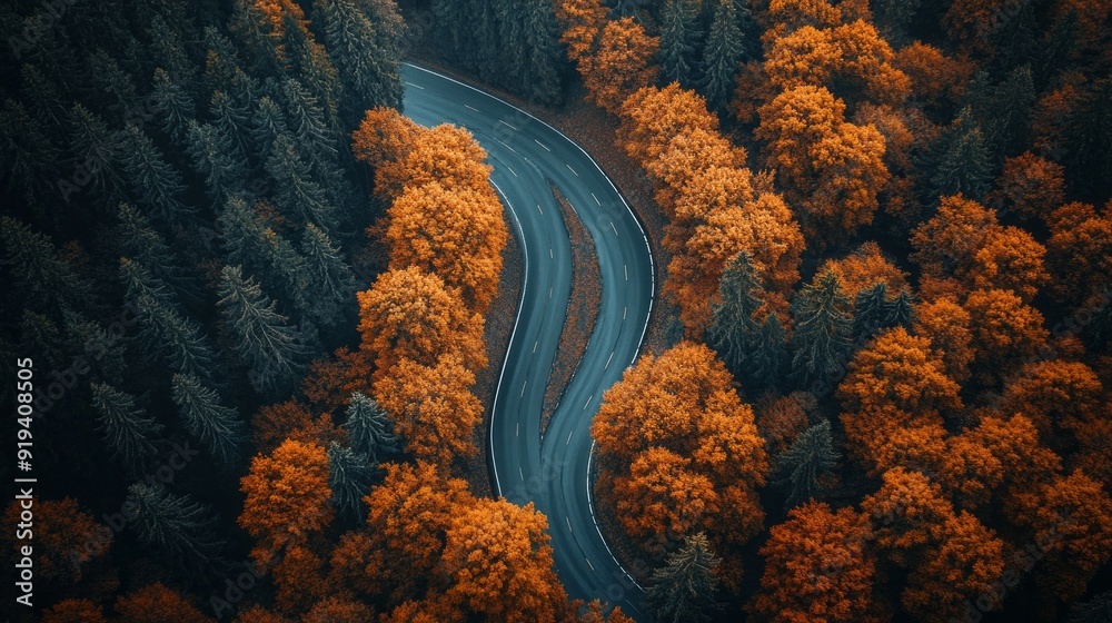 Poster a winding road with trees in the background