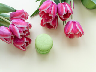 Green macaroons on the background of blooming red tulips. Card mother's day, birthday, international women's day