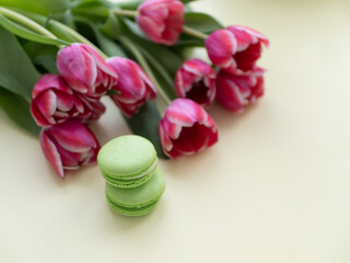 Green macaroons on the background of blooming red tulips. Card mother's day, birthday, international women's day