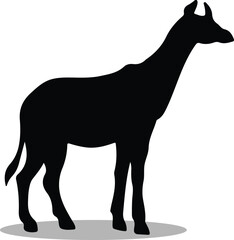 Okapis Silhouette, Okapis Vector Silhouette, Okapis cartoon Silhouette, Okapis illustration, Okapis icon Silhouette, Okapis Silhouette illustration