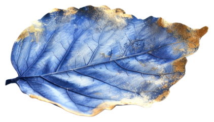 PNG Blue leaf with golden accents