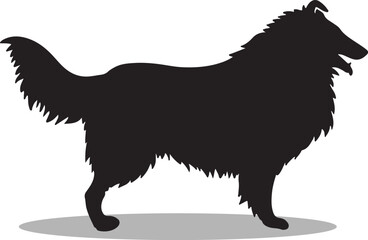 Rough Collies Silhouette, Rough Collies Vector Silhouette, Rough Collies cartoon Silhouette, Rough Collies illustration, Rough Collies icon Silhouette, Rough Collies Silhouette illustration
