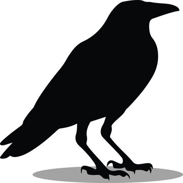 recommend clip art: Ravens Silhouette, Ravens Vector Silhouette, Ravens cartoon Silhouette, Ravens illustration, Ravens icon Silhouette, Ravens Silhouette illustration