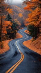 Naklejka premium A winding road with trees on both sides