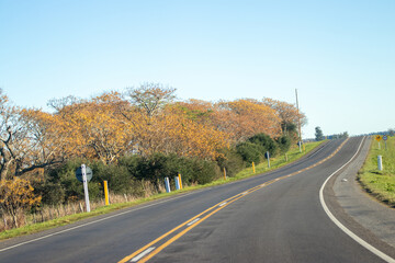 Curva en la ruta