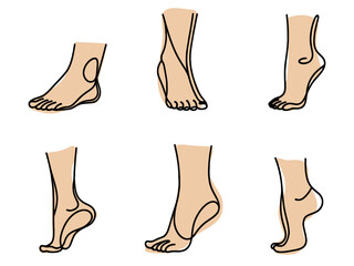 Line feet. Woman ankles and legs with heels and fingers. Beauty or medicine human body infographic elements. Spa skin care and pedicure. Naked foot soles. Vector barefoot sketches set.