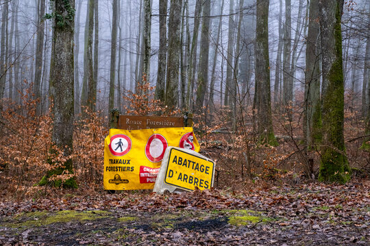 Panneaux de travaux forestiers