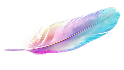 PNG Colorful delicate feather art