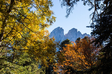 Autumn landscape in Aiguestortes and Sant Maurici National Park, Spain