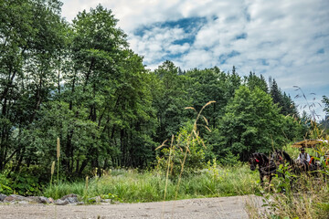 Bikaz Gorge and Lakul Roshu (Red Lake) - Eastern Carpathians - Romania - Europe