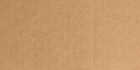 Craft paper texture background. Texture of brown craft or kraft paper background, cardboard sheet, recycle carton paper, copy space for text.