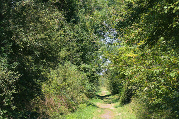 Obraz premium Beautiful view of the Belgian countryside