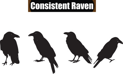 Raven  Modern Black Silhouette Design Elements