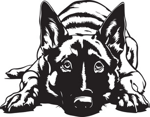 Belgian Malinois Dog Lying Down Stylized Vector