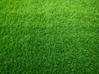 green grass texture