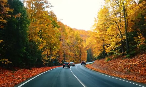 Scenic road through an autumn forest with vibrant fall foliage and cars driving under a clear sky