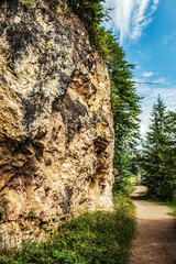 Bikaz Gorge and Lakul Roshu (Red Lake) - Eastern Carpathians - Romania - Europe