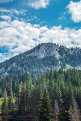 Bikaz Gorge and Lakul Roshu (Red Lake) - Eastern Carpathians - Romania - Europe