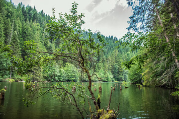 Bikaz Gorge and Lakul Roshu (Red Lake) - Eastern Carpathians - Romania - Europe