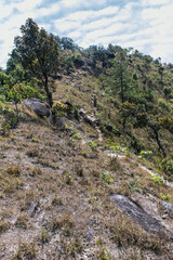 mountain  in doi inthanon, Chiangmai Thailand
