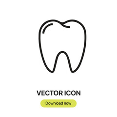 Tooth icon vector. Linear-style sign for mobile concept and web design. Tooth symbol illustration. Pixel vector graphics - Vector.	
