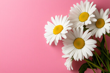 bouquet of daisies on a pink background © Frank Parker