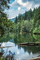 Bikaz Gorge and Lakul Roshu (Red Lake) - Eastern Carpathians - Romania - Europe