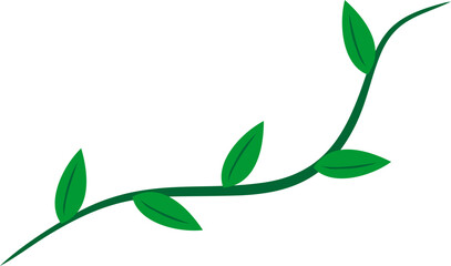 Creeping Leaves Root