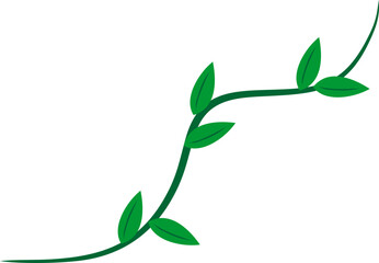 Creeping Leaves Root