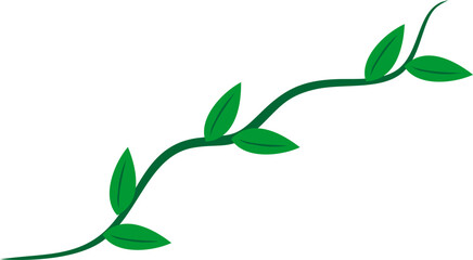 Creeping Leaves Root