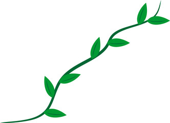 Creeping Leaves Root