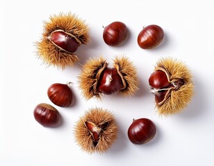 Chestnut Pattern. Ripe sweet Chestnuts isolated on white background. Christmas food. Top view. Flat lay