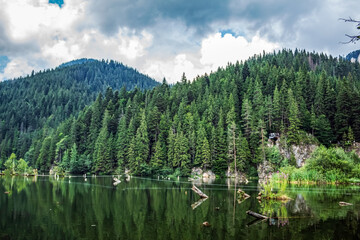 Bikaz Gorge and Lakul Roshu (Red Lake) - Eastern Carpathians - Romania - Europe