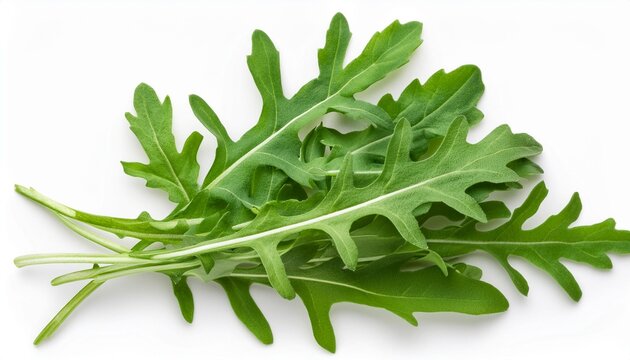 Fresh green arugula leaves isolated on white background, top view, flat lay. Pile of ruccola