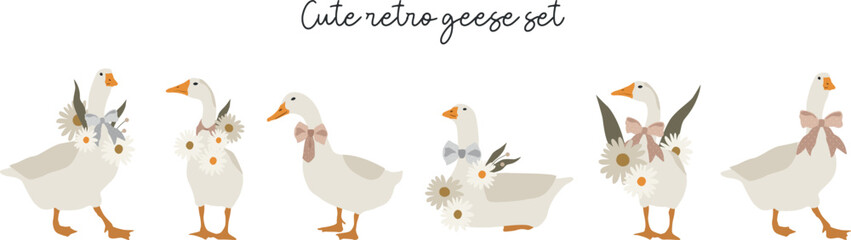 Flat goose with daisiese and bows set illustration. Vector cliparts of domestic birds in retro style. Farming